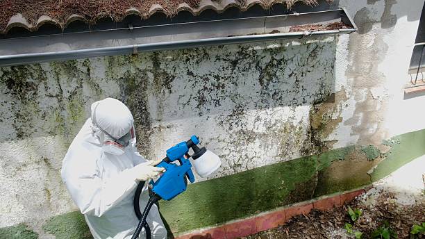 Top rated local Commercial Mold Remediation specialists in Pottersdale, PA